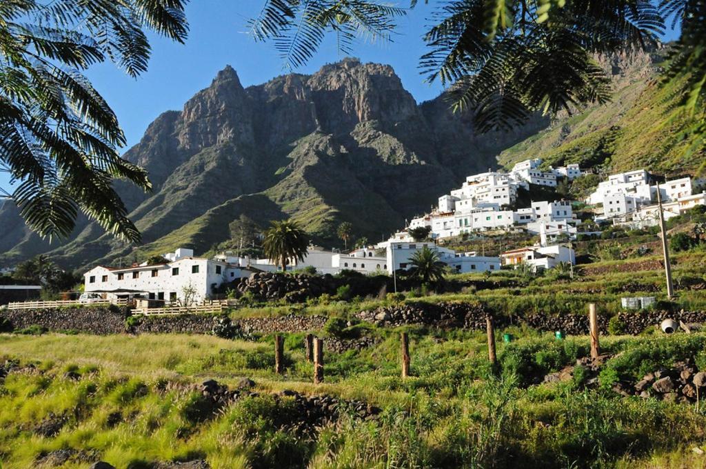 Casa La Palmera Apartment Agaete (Gran Canaria)